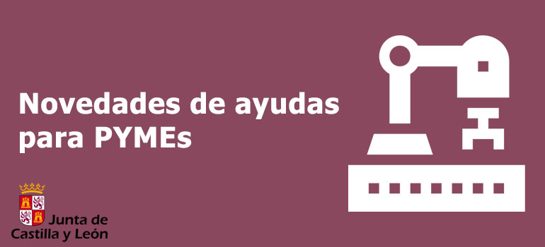 /novedades-ayudas-pymes-castilla-y-leon-2025.html