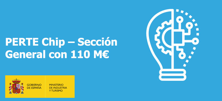 PERTE CHIP con 110 M€